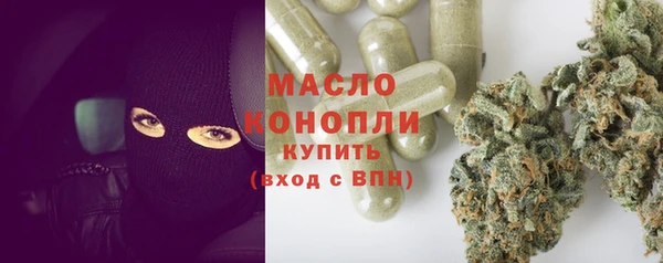тгк Абаза