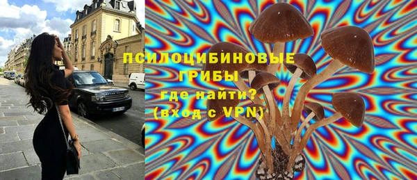 тгк Абаза
