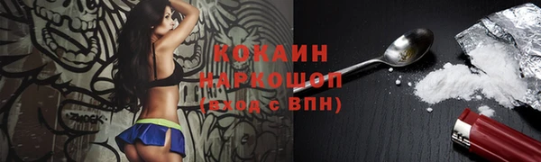 тгк Абаза