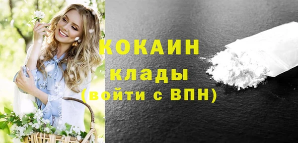 тгк Абаза